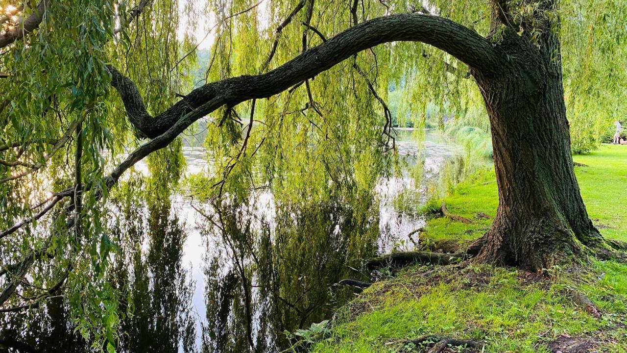 Gemuetliche Wohnung Bad Schwartau Buitenkant foto